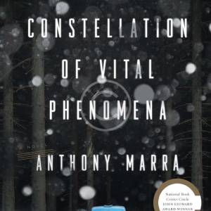 A Constellation of Vital Phenomena